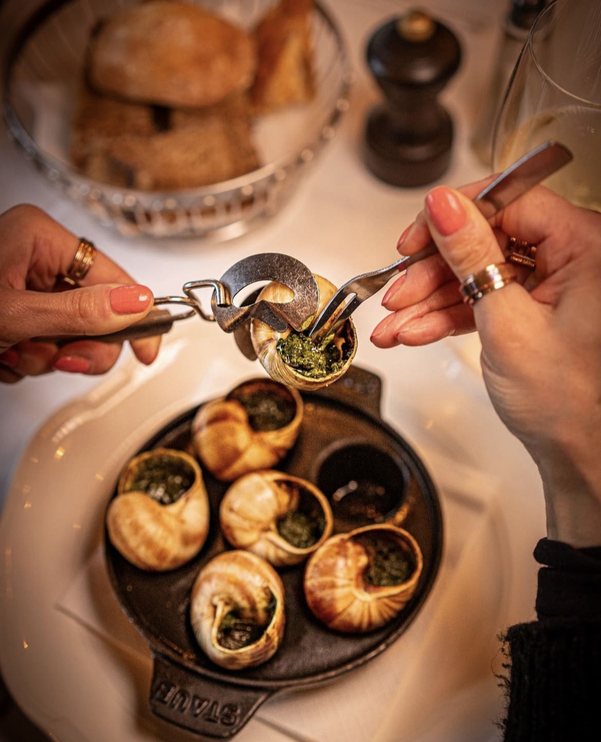 Escargot de Bourgogne